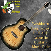 Washburn Deep Forest Burl ACE Cutaway A/E Guitar  Black Fade Gloss 